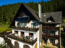 Bucovina Lodge Pension – hotel w mieście Vama