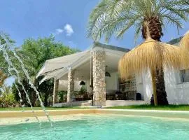 La Casa del Zurdo, oasis de palmeras en Alicante, con piscina