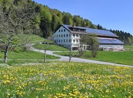 AuszeitHof Vögel, skihotel i Sulzberg