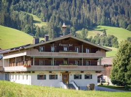 Appartment Thumerhof Wildschönau, hotel in Niederau