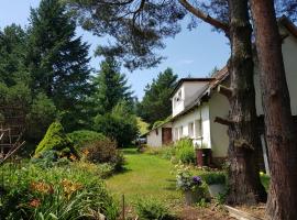 Na Piotrowickiej Przełęczy, farm stay in Bystrzyca Kłodzka