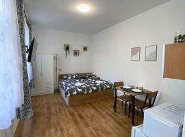 Cozy 1 BR studio in the center of Pilsen