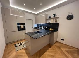 Central Luxury Apartment, hotel in Linz