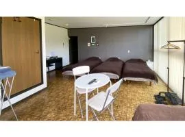 Forte "Hachijojima" - Vacation STAY 62473v