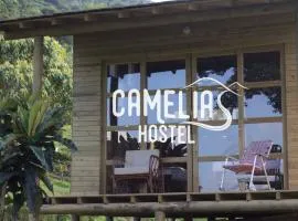 Camelia Hostel