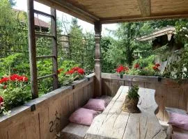 Eco-friendly chalet near the lake in Asten
