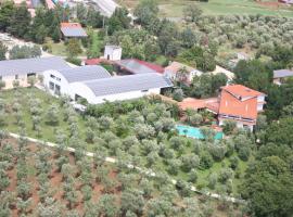 Inviting holiday home in Maida with swimming pool, hotel pet friendly a Maida