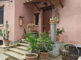 Casa Nupa