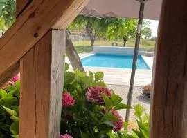 Petite dépendance vue piscine