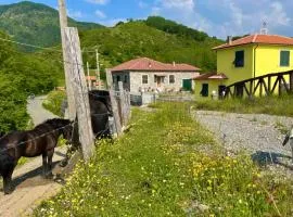 Colle del Faggio Nature Home