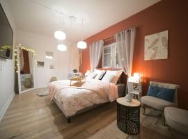 Aman Insolite Jacuzzi Parking Free Centre à 5min, hotel in Mulhouse