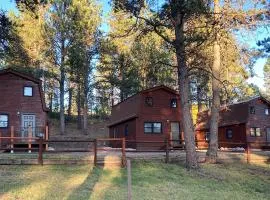 Trailshead Lodge - Cabin 2