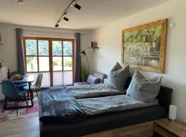 Apartment Wildbert mit Blick auf die Donau, nur Feriengäste willkommen, keine Arbeiterunterkunft!