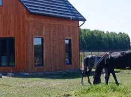 Serock okolice - Domek przy stajni i dębowym lesie
