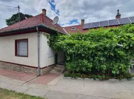 Holiday home in Siofok - Balaton 43122