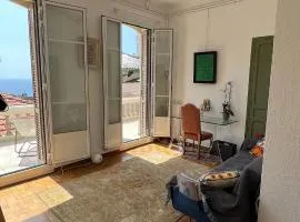 Monaco entire flat with spectacular terrace and sea view