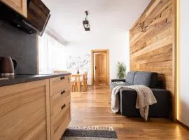 Apartament Witów