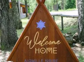 Camping Aiguille Noire