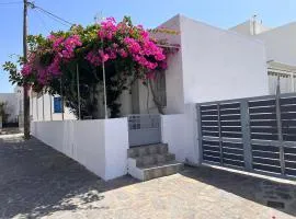 Gala Home Traditional house