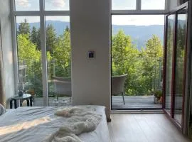 Apartmán Vyhlídka Hamry