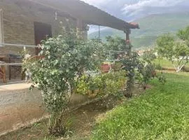 Villa Olympus