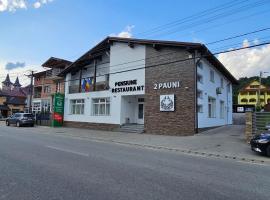 Pensiune Restaurant Pizzerie 2 Păuni, Bed & Breakfast in Borşa