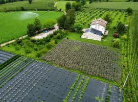 Agriturismo Redó, farma v destinaci Ponti Sul Mincio