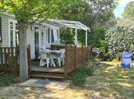 Mobil Home 3 Chambres - 2 salles d'eau - 2WC -Camping Les Ecureuils Biscarrosse lac