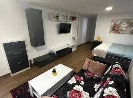 Apartment Radić 1