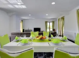 Villa in Pazin with Private Pool