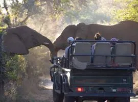 Karongwe - Chisomo Safari Camp
