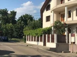 Casa Ștefan