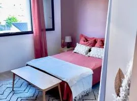 Grande chambre privée 18 m2 dans maison proche Gare et Nancy Thermal