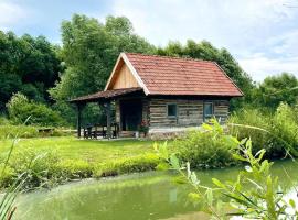 Country House, hotel in Vadu Crişului