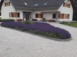 Agroturystyka Aura