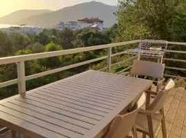 Villa Bega