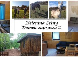 Zielenina Leśny Domek, cabaña o casa de campo en Mierzeszyn
