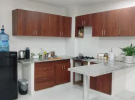 Departamento Altos del Sur