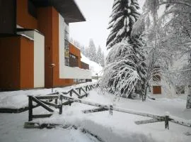 Luce Delle Dolomiti con navetta e sala giochi