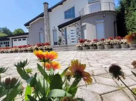 Amazing Villa with pool nearby Shtime - Ferizaj
