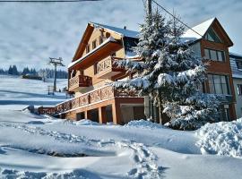 Alpejski Zieleniec – hotel w pobliżu miejsca Ośrodek narciarski Zieleniec Ski Arena w Zieleńcu