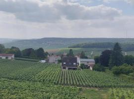 Maison au Coeur du Vignoble Champenois, casa o chalet en Champillon