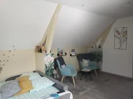 Le charmillon, Appartement cosi avec double garage