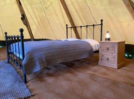 Devon Tipi Camp And Glamp, luxury tent in Stoke Canon