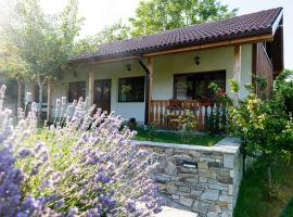 Walnut Cottage 1, villa in Debrashtitsa