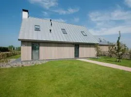 Modern design lodge with combi microwave, in national park