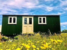 Bathsheba, Luxurious Shepherds Hut set in Todber a hamlet set in Thomas Hardy's iconic rural Dorset, apartment in Todber