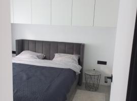 New and comfortable apartments, apartment in Uzhhorod