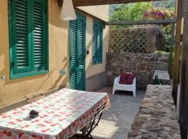 Mia House