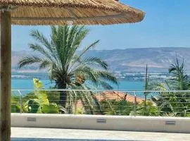 Kinneret View